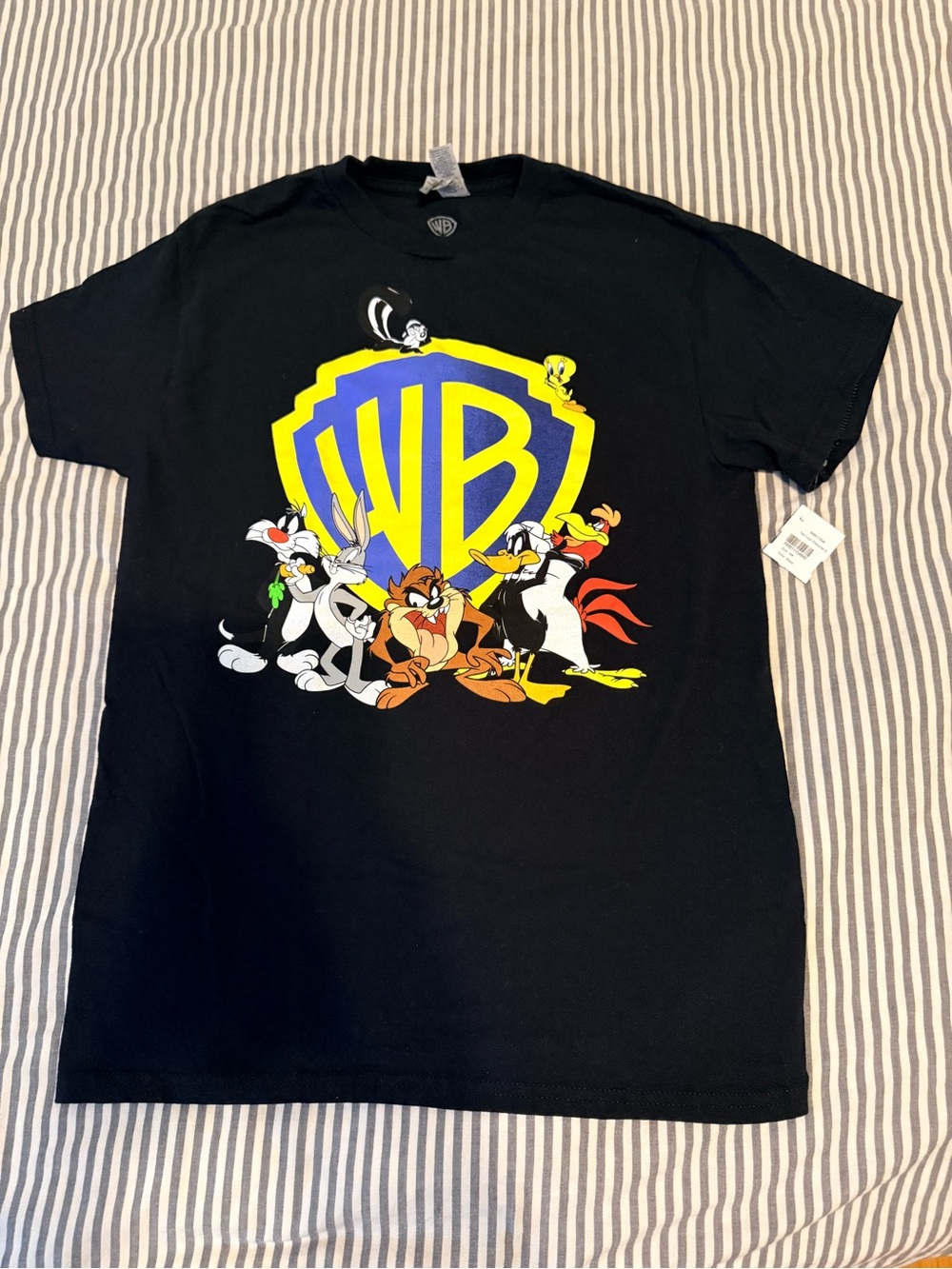 Vintage Looney Tunes & WB Logo Graphic Tee
